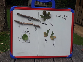 White board with leaves and twigs taped to it, each with captions to describe how they're fractions of one another