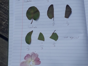 Notebook with leaves and petals taped to it, each with captions to describe how they're fractions of one another