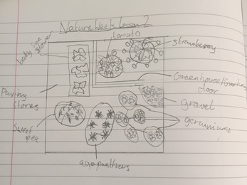 Sketch drawing of someone's garden in our Plant Plotter survey