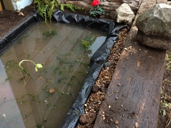 Square pond by building wall. 