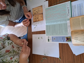 two Wilder Bramley group members sat down looking at information on local wildlife and survey notes