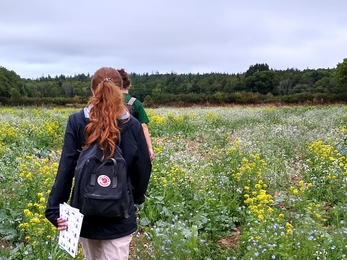 Trainee Ecologist walking through one of the fields at Nunwell