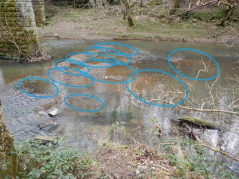 Trout redds in close proximity due to barrier (annotated) © Wild Trout Trust
