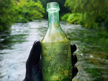 Mid 19th century aqua glass ginger beer bottle © Jane Eastman