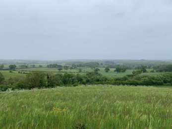 Wilder Nunwell - grassy fields, green trees and blue/grey sky 