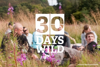 30 Days Wild © Kartina Martin 2020Vision