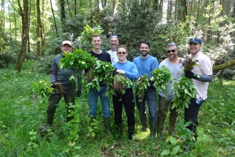 Staff from Lombard on a Himalayan balsam pull 23 May 2018