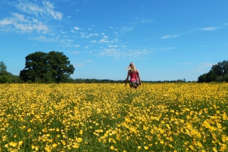 Testwood buttercup meadow © Cathy Anning