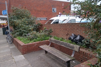 Bench surrounded by raised beds with overgrown plants and bin bags in the background