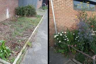 Community centre comparison Jan to July - on the left a bare plot of green to the right a vibrant bed of colourful flowers
