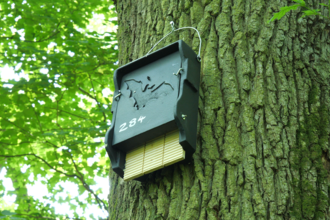 A bat box on a tree near Overton, installed as part of the North Hampshire Bat Box Project © Hampshire & Isle of Wight Wildlife Trust
