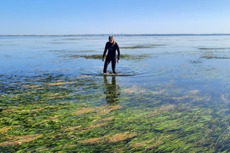 Marine Officer, Ellie, walking through green seagrass meadow with bright blue sky in background. 