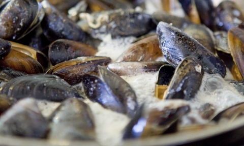 Mussels cooking © Toby Roxburgh/2020VISION