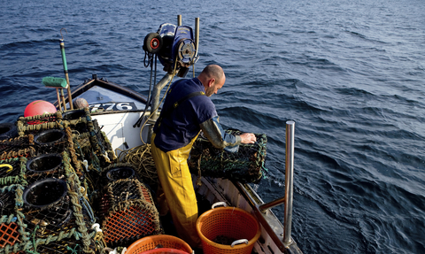 Lobster fisherman © Tony Roxburgh