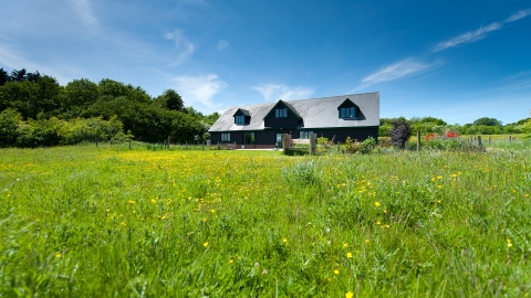 Testwood Lakes education centre in summer