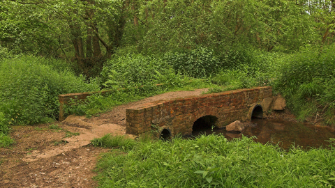 Flexford Nature Reserve Bridge Footpath