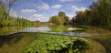 River Itchen at Itchen Stoke Mill