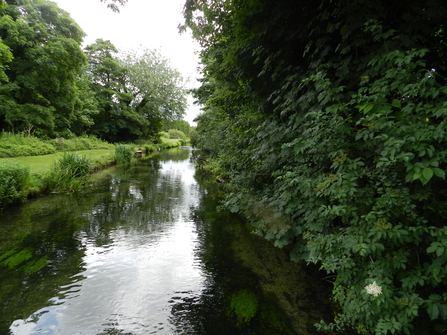 Upper Test tributary