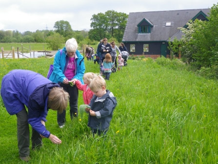 wildlife tots testwood meadow and centre