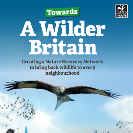Towards a Wilder Britain report