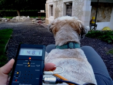 Set up for a bat survey with bat detector and dog