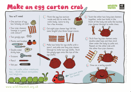 Egg carton creatures_0
