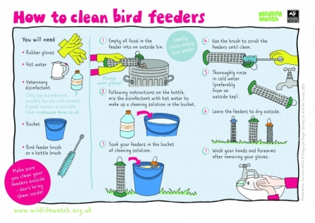 How to Clean Bird Feeders_0
