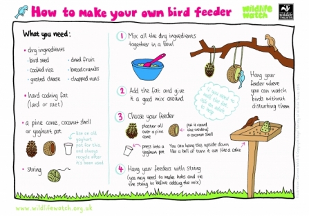 How to make a bird feeder_0
