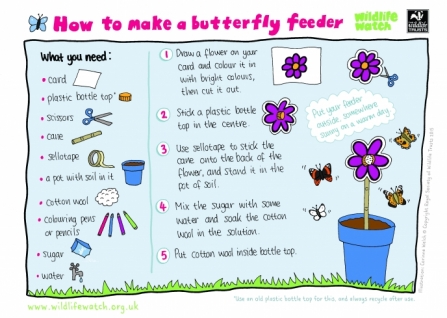 How to make a butterfly feeder_0
