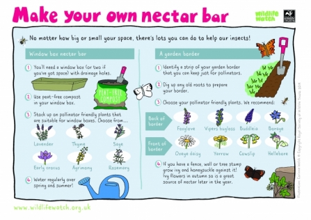 Make a nectar bar_0