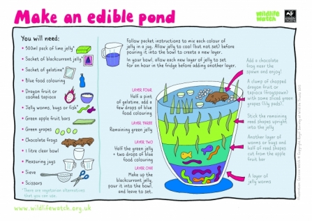 Make an edible pond_0