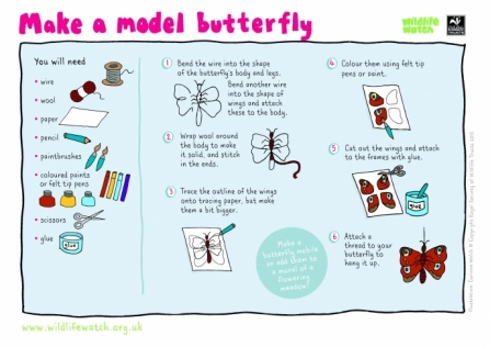 model butterfly  (1)_0