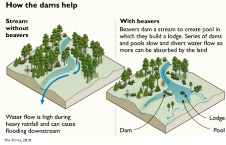 The times maps: 'How the dams help'