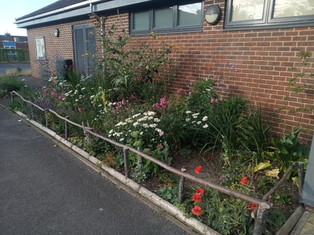 flower bed outside community centre vibrant with flowers in July 2022 