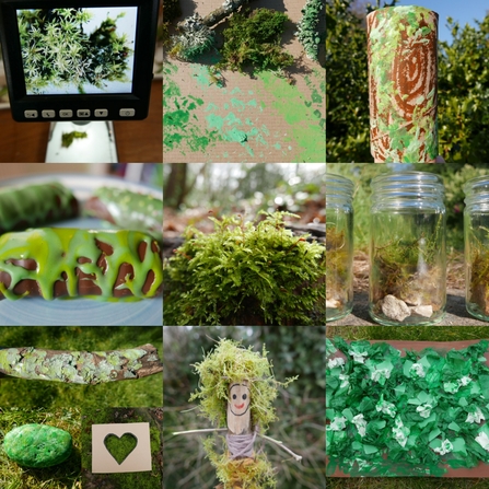 Collage - nature reserve, painting, close-up of nature, craft activities