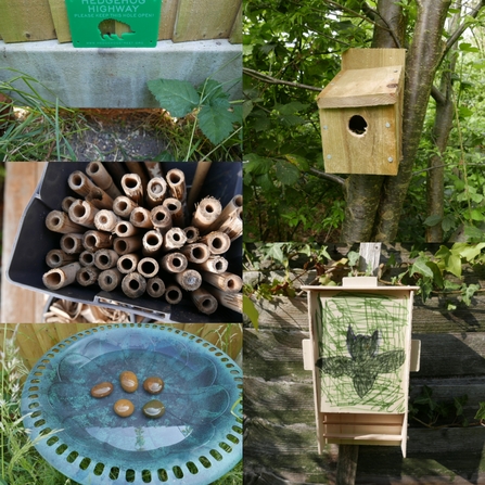 collage of habitats created for insects