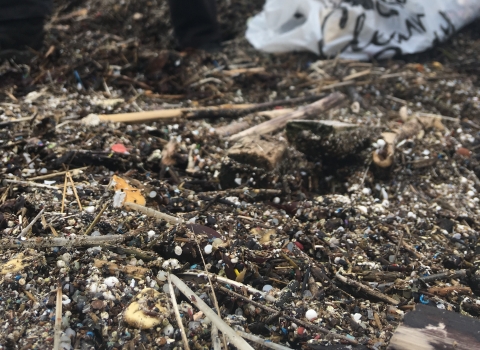 Plastic debris washed up at Farlington Marshes nature reserve