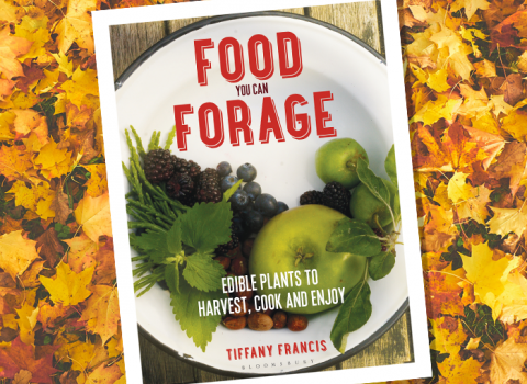 Food You Can Forage, by Tiffany Francis