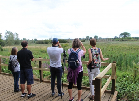 Visitors observing an osprey from the new platforms at Fishlake Meadows Nature Reserve