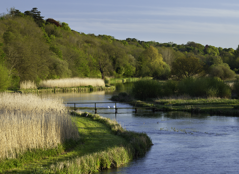 River Test near Stockbridge © Guy Edwardes/2020VISION
