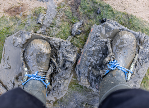 walking on mudflats 