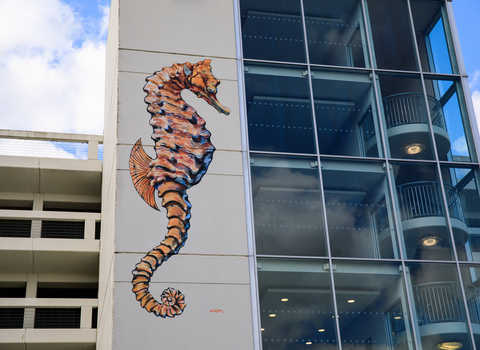 Short-snouted seahorse mural by ATM © Siân Addison