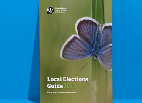 Local election guide front cover - cover features common blue butterfly 