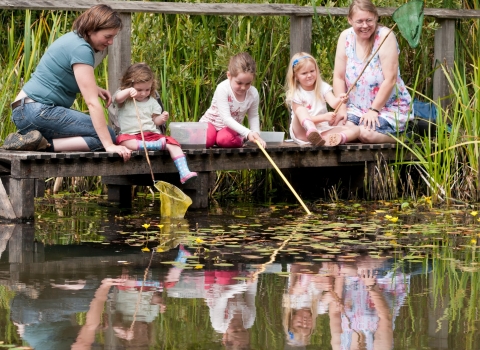 Children, and mothers, pond dipping and enjoying pond environment at Little Bradley Ponds, 