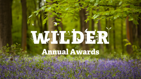 Wilder Annual Awards