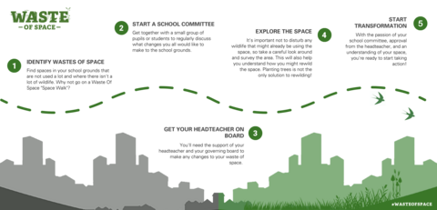 Roadmap of actions to take for schools