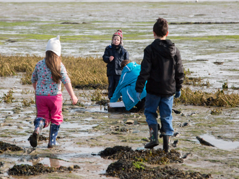 Children exploring the shoreline at Milton Locks nature reserve