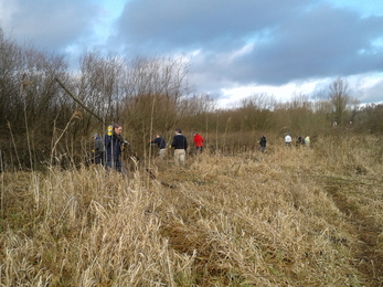 Fishlake Meadows volunteers at work on a dead hedge