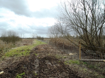 New fencing on the north-south path at Fishlake Meadows