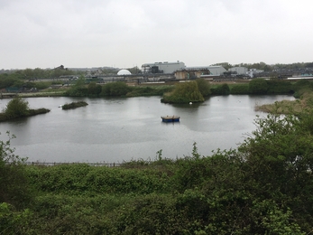 Tern raft on location at Budds Farm near Southmoor